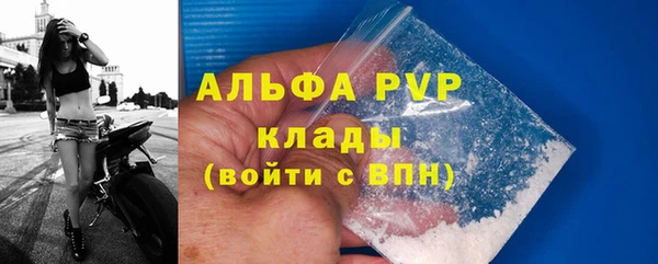 дживик Заводоуковск