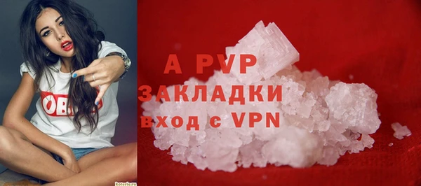 стаф Елизово