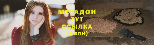 PSILOCYBIN Ельня