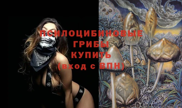 эйфоретик Елабуга