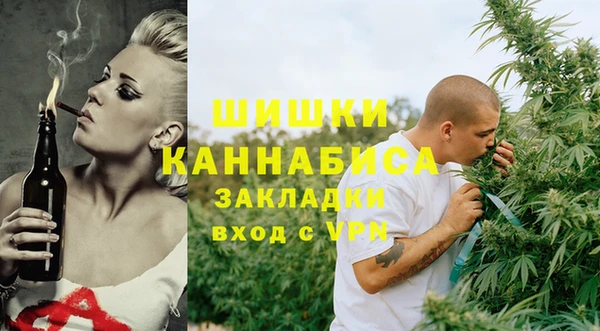 дживик Заводоуковск