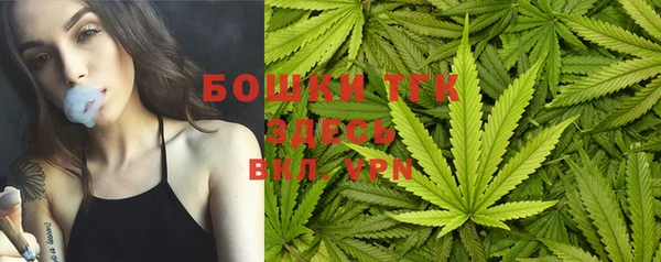 дживик Заводоуковск