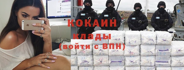 дживик Заводоуковск